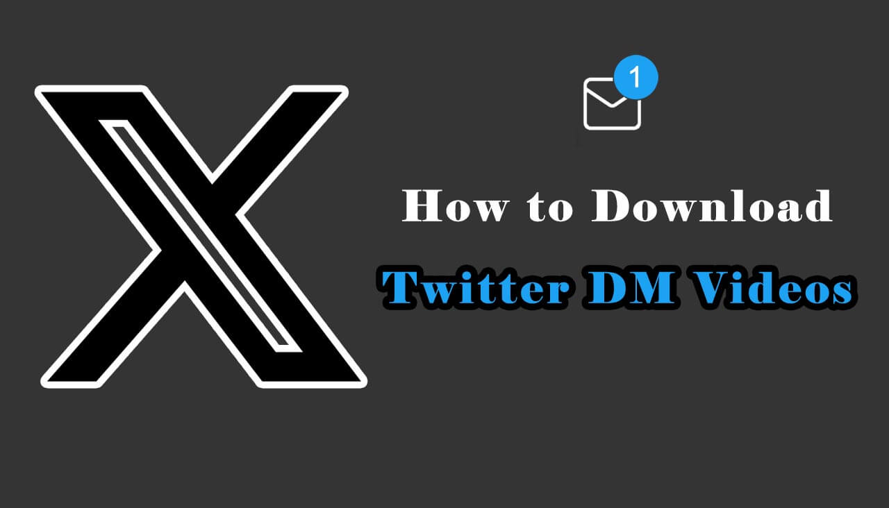 download video twiter dm