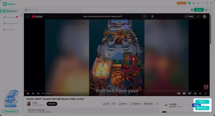 access private youtube video within fildown
