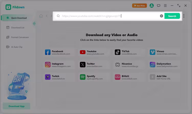 download private youtube video with a link