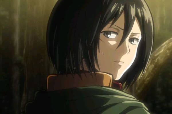 mikasa