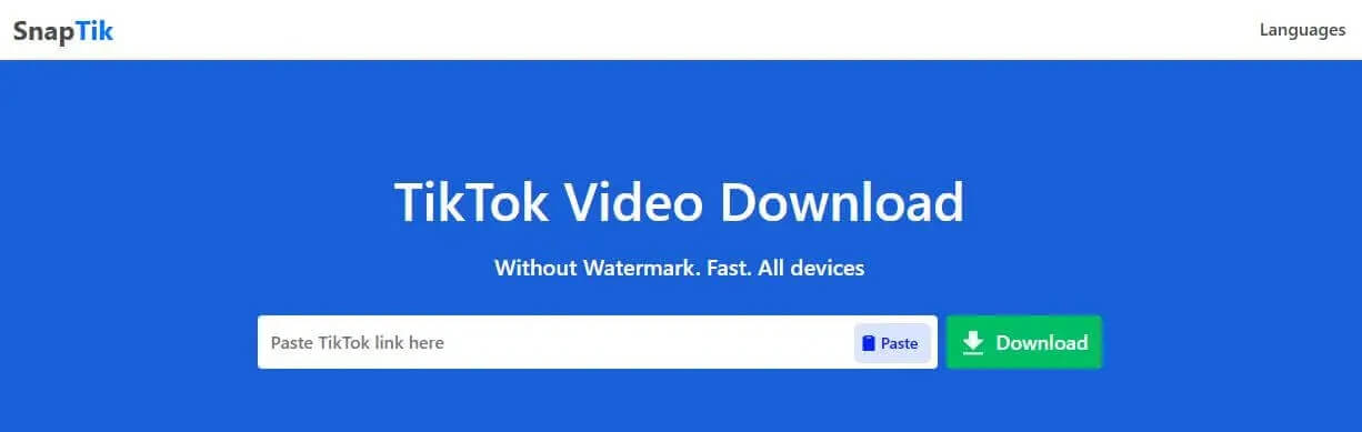使用線上工具下載 tiktok 影片